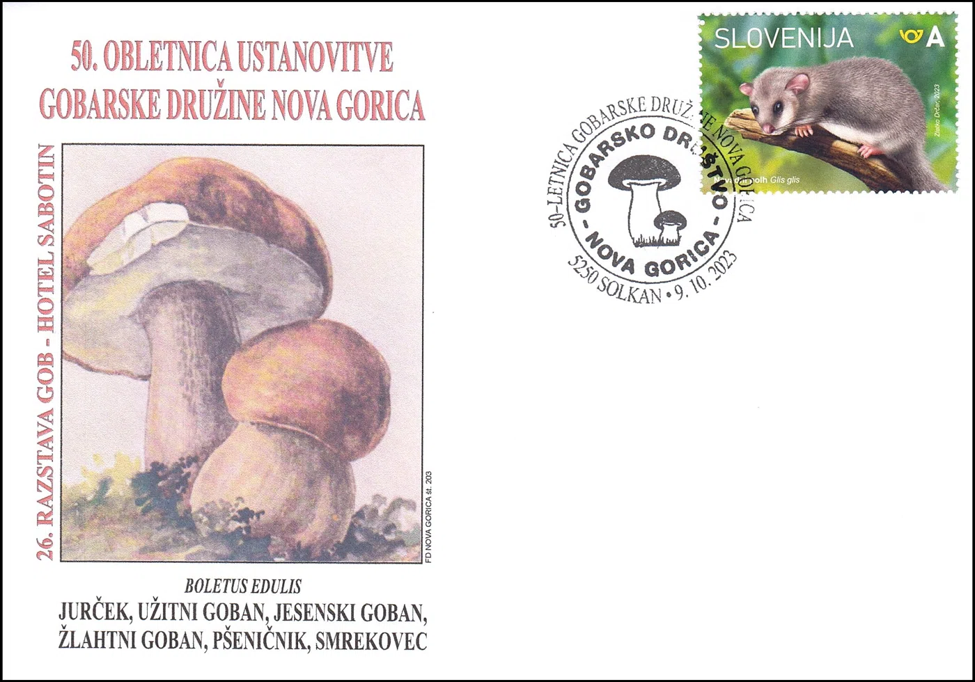 50 - LETNICA GOBARSKE DRUŽINE NOVA GORICA